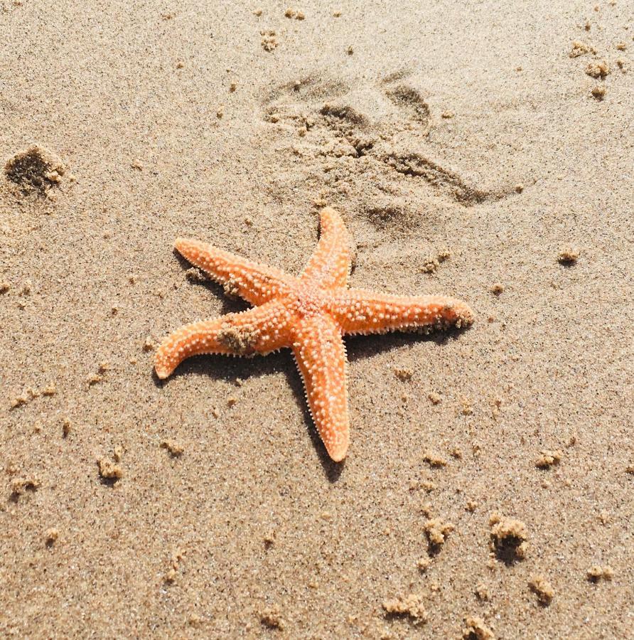 אקסמות' Sandy Feet Retreat מראה חיצוני תמונה